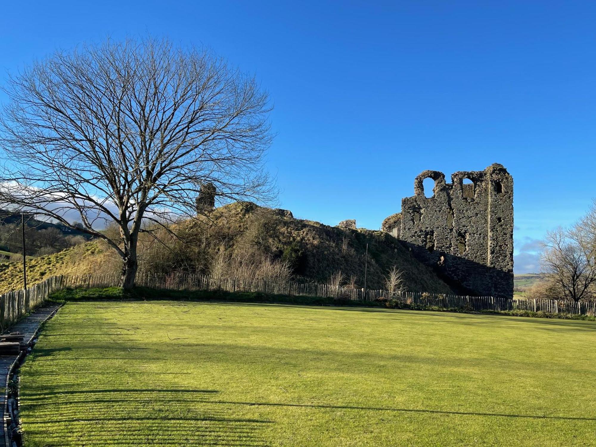 Beech With Castle View